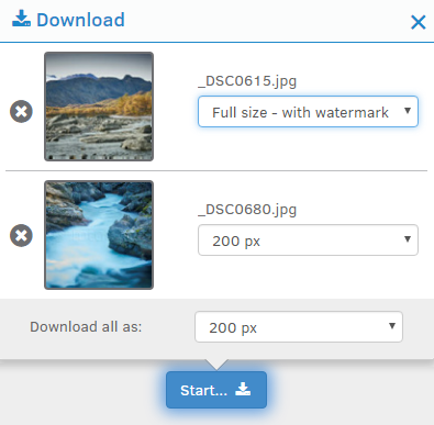 Choice of download profiles in FotoWeb main UI.png