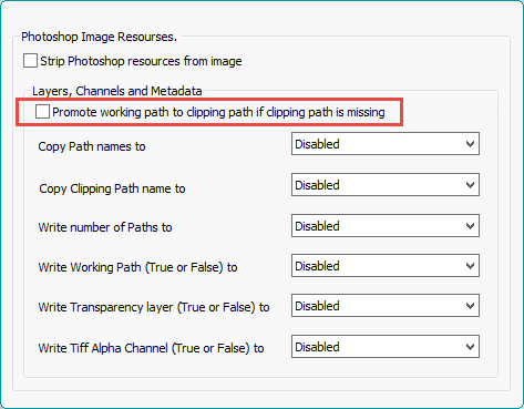 Promote working path to clipping path.png