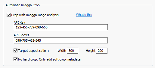 Automatic crop using Imagga image analysis.png