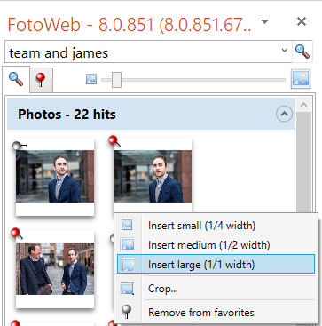 Office plugin - inserting pictures in office 2018.PNG